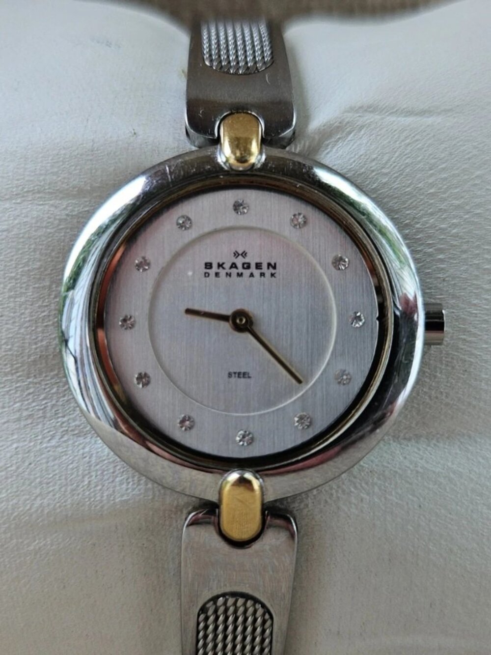 Skagen Denmark Ladies Wristwatch Silver Tone Gold Tone Accent Analog Wrist Watch